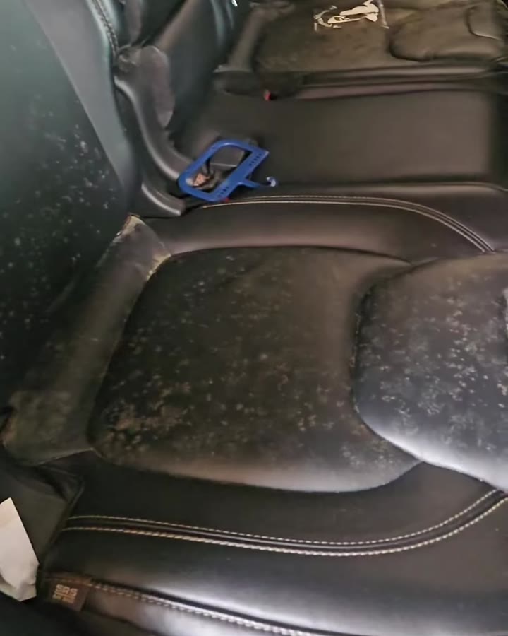 Jeep rear seat spotted with mildew before detailing